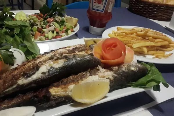 Hotel Dolphıne - Resim 5