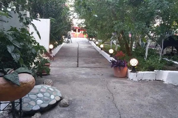 Hotel Dolphıne - Resim 13