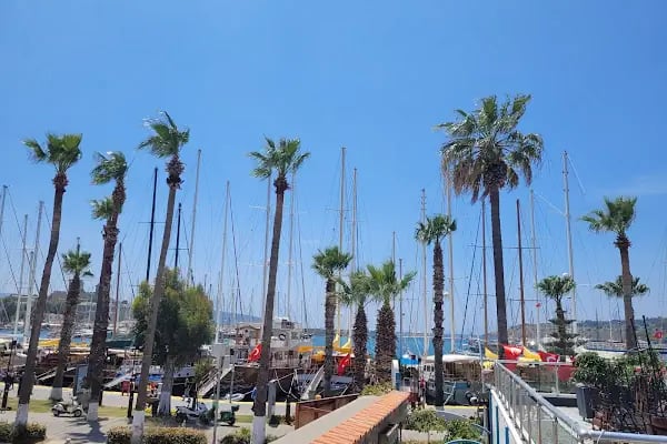 DOUBLE INN MARINA - Resim 9