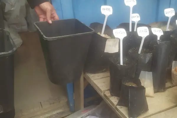 Vanlı Çiçek Market - Resim 2