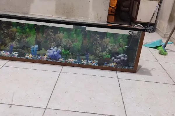 BEŞİR PETSHOP - Resim 14