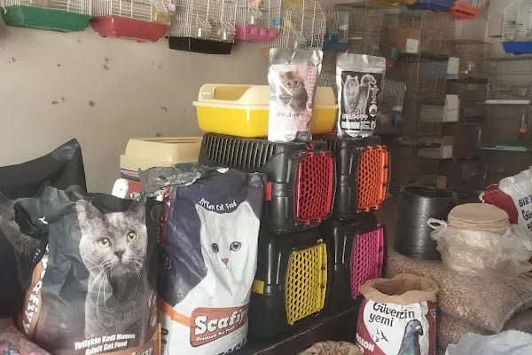 BEŞİR PETSHOP - Resim 5