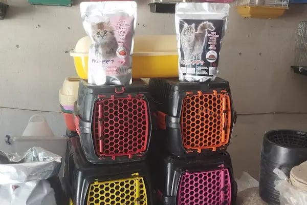 BEŞİR PETSHOP - Resim 7