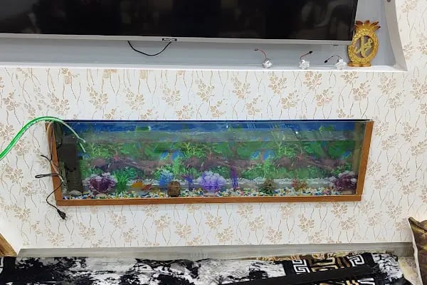 BEŞİR PETSHOP - Resim 9