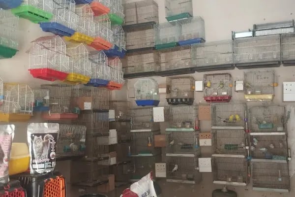 BEŞİR PETSHOP - Resim 2