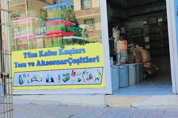 BEŞİR PETSHOP - Resim 6