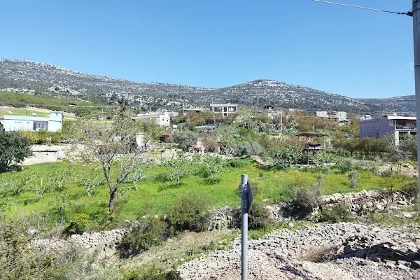 Hacıkırı - Resim 9