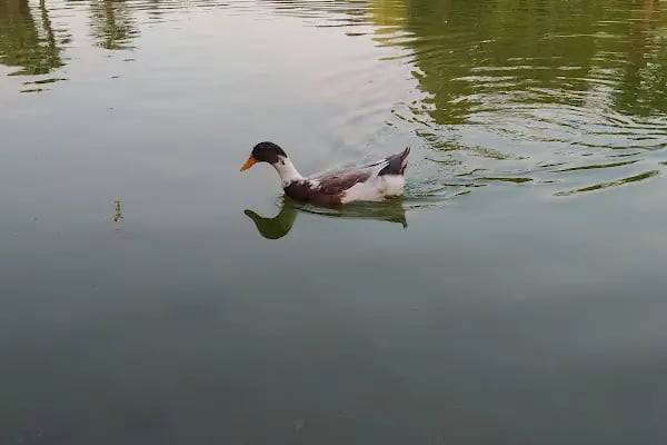 İZMİR BÜYÜKŞEHİR BELEDİYESİ İZELMAN A.Ş. Kültürpark Yeraltı Otoparkı - Resim 16