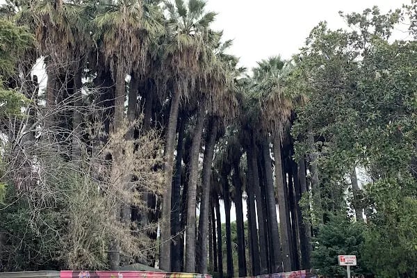 İZMİR BÜYÜKŞEHİR BELEDİYESİ İZELMAN A.Ş. Kültürpark Yeraltı Otoparkı - Resim 14