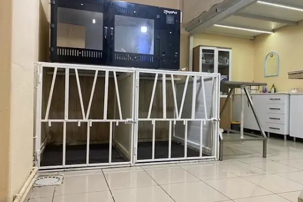 Erzurum Veteriner Kliniği - Resim 2
