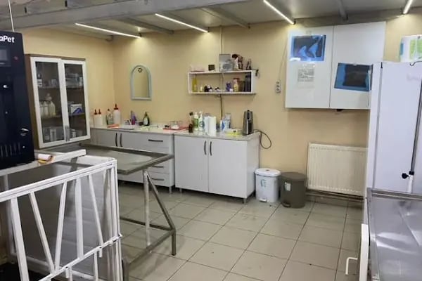 Erzurum Veteriner Kliniği - Resim 5