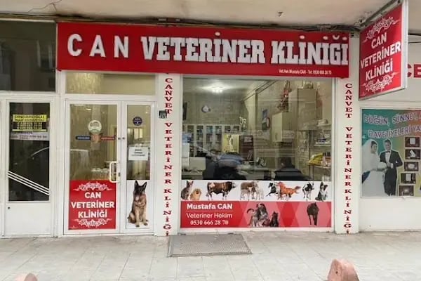 Erzurum Veteriner Kliniği - Resim 6