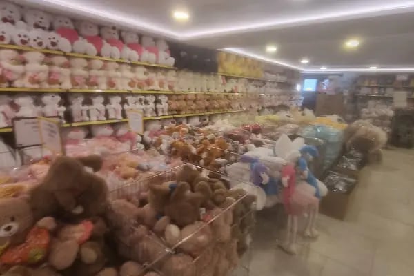 Vardem Oyuncak Deposu - Resim 16