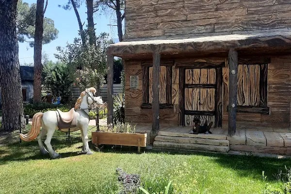 Toysmar Trambolin Oyun Grupları &amp; Softplay - Resim 13