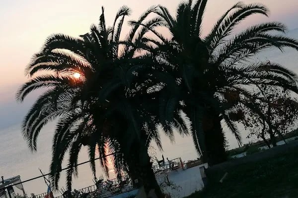 Otel Yelkenkaya - Resim 20