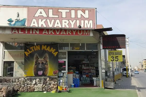 Altın Akvaryum - Resim 2