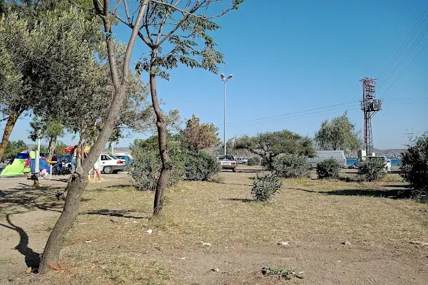 Eski Tuzla Gölü - Resim 3