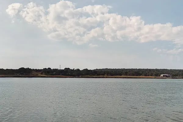 Eski Tuzla Gölü - Resim 13
