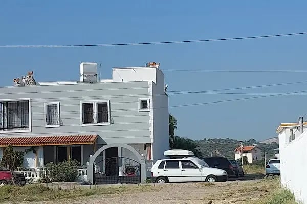 Eski Tuzla Gölü - Resim 10