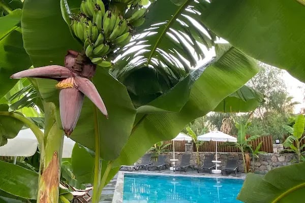 Casa Luxury Hotel - Resim 10