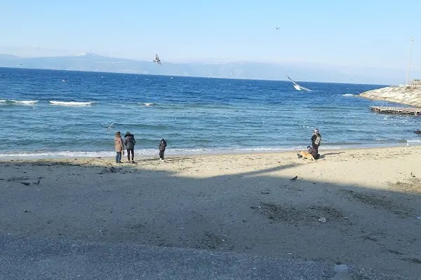 Bursa Feribot İskelesi Gişesi - Resim 8