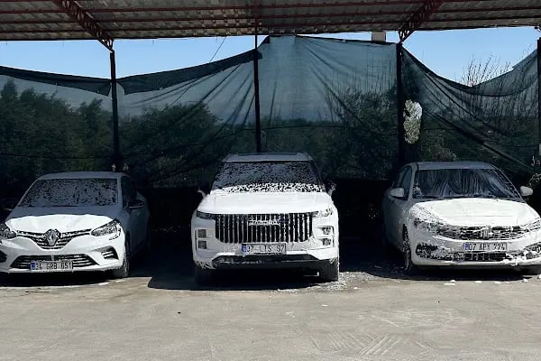 Yedifil Rent a car Park & Fly Oto yikama - Resim 9