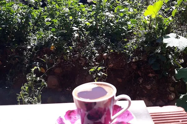 Calip yayla dağ evi - Resim 3