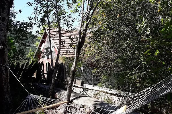 Calip yayla dağ evi - Resim 4