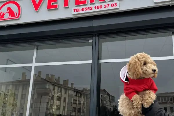 Özel Altındağ Veteriner Kliniği - Resim 6