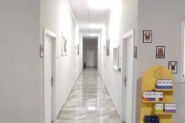 Özel Altındağ Veteriner Kliniği - Resim 15