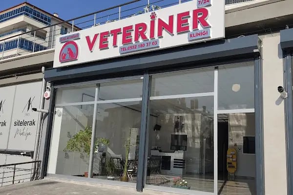 Özel Altındağ Veteriner Kliniği - Resim 14