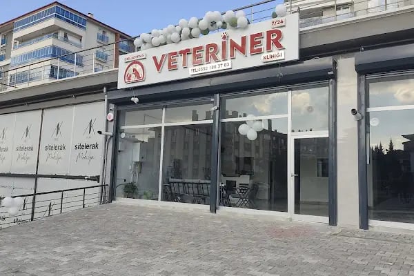 Özel Altındağ Veteriner Kliniği - Resim 1
