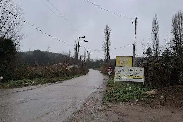 Bağcı Zeytinyağı Fabrikası - Resim 12