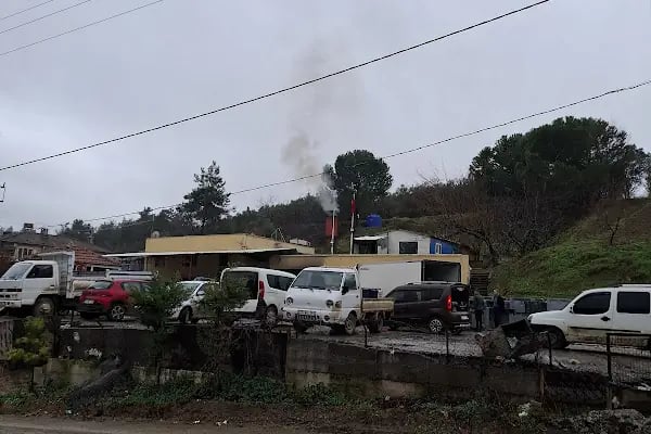 Bağcı Zeytinyağı Fabrikası - Resim 6