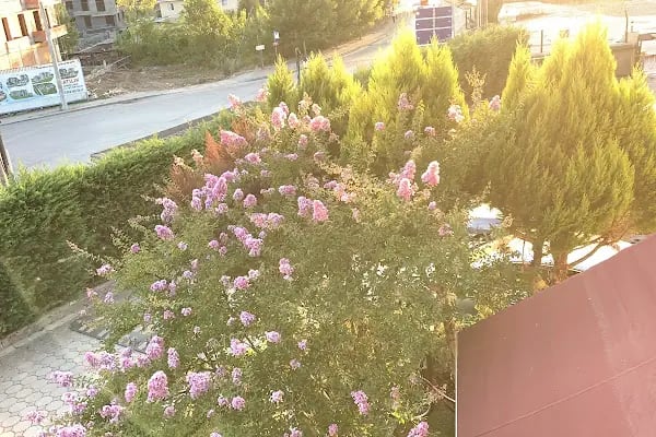 Kolaylı Kullar Sitesi - Resim 12
