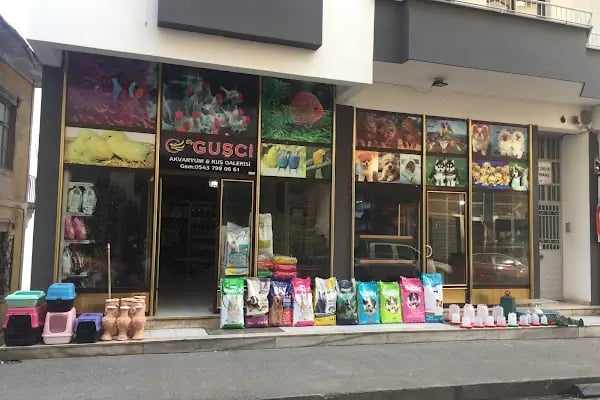 By Guşci Petshop Petmarket - Resim 16