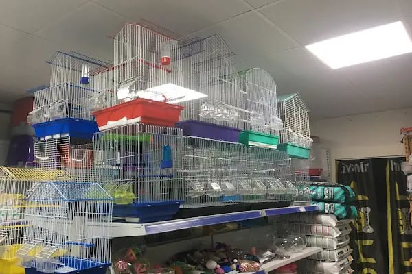 LİVAMİR PETSHOP AKVARYUM - Resim 15