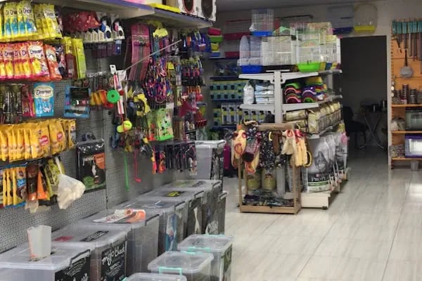 LİVAMİR PETSHOP AKVARYUM - Resim 3