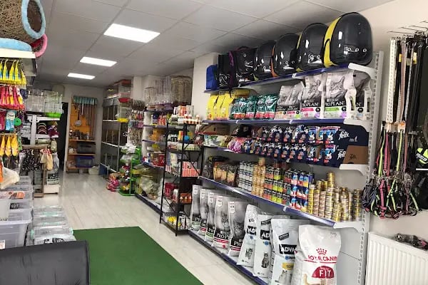 LİVAMİR PETSHOP AKVARYUM - Resim 6