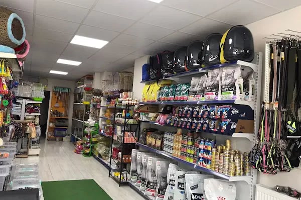 LİVAMİR PETSHOP AKVARYUM - Resim 12