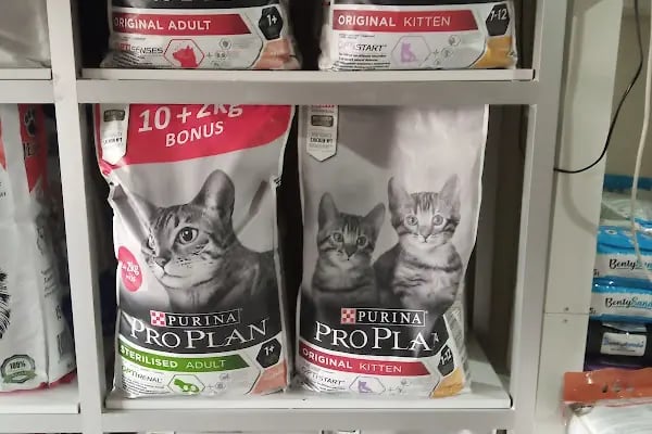 Konya sancak kosova mah alaska pet shop - Resim 20