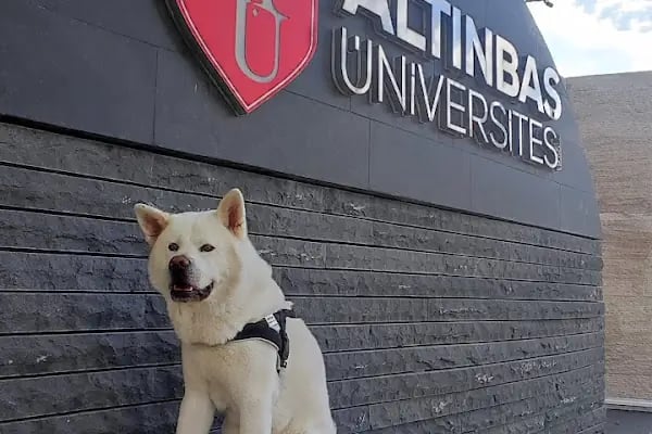 Altınbaş Üniversitesi - Resim 13