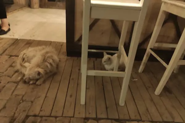 Komşu Teyzen - Resim 13