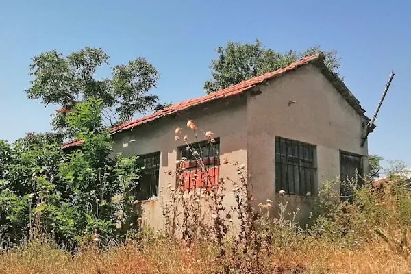 Hasan Çelik - Çelik Bakkal - Resim 8