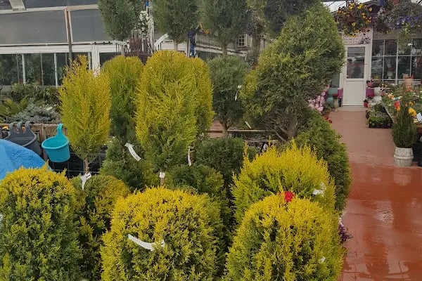 Jasmine's Garden - Resim 20
