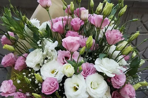Alanya Çiçek Alanya Online Çiçekçi - Resim 17