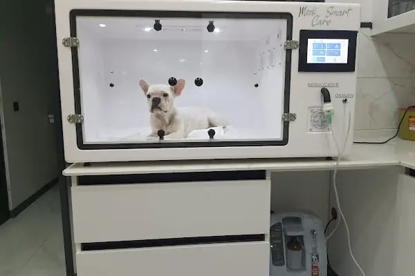 KONYA METROPOL Veteriner Kliniği - Resim 10