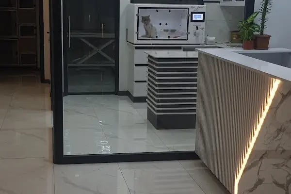 KONYA METROPOL Veteriner Kliniği - Resim 6