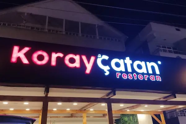 Koray Çatan Engiz - Resim 7