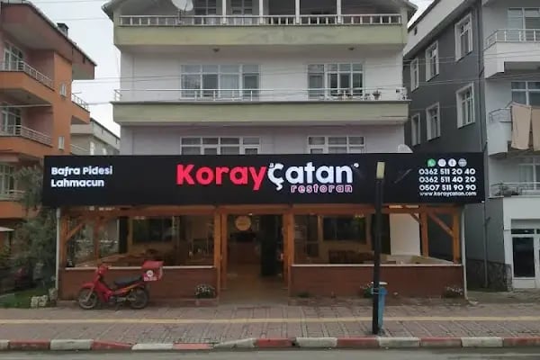 Koray Çatan Engiz - Resim 2